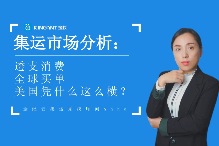 金蟻云集運市場分析 集運市場分析 集運物流 集運系統(tǒng)開發(fā)