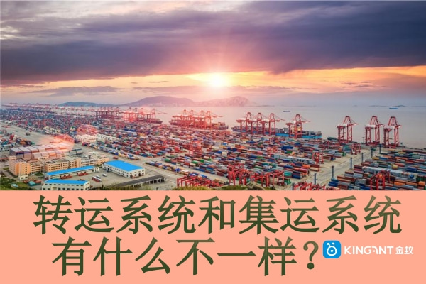 轉(zhuǎn)運(yùn)系統(tǒng)和集運(yùn)系統(tǒng)有什么不一樣？